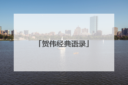 贺伟经典语录