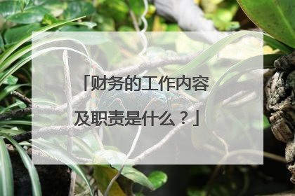 财务的工作内容及职责是什么?