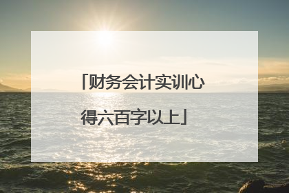 财务会计实训心得六百字以上