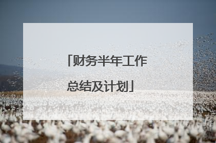 财务半年工作总结及计划