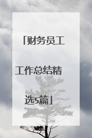 财务员工工作总结精选5篇