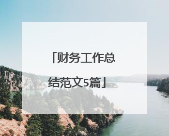 财务工作总结范文5篇
