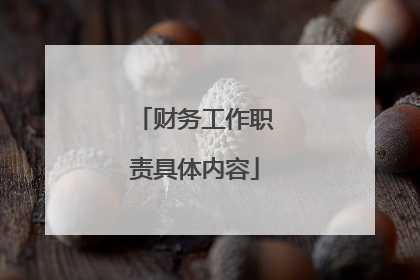 财务工作职责具体内容