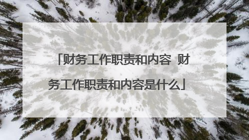 财务工作职责和内容 财务工作职责和内容是什么