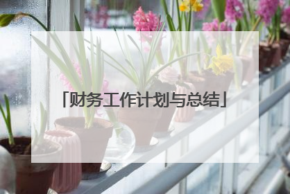 财务工作计划与总结