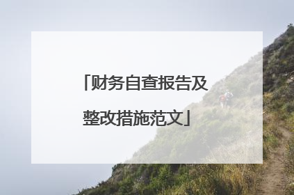 财务自查报告及整改措施范文