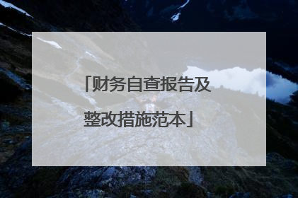 财务自查报告及整改措施范本
