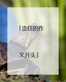 责任的作文开头
