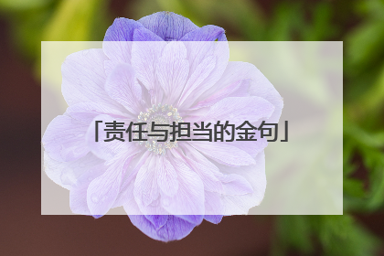 责任与担当的金句