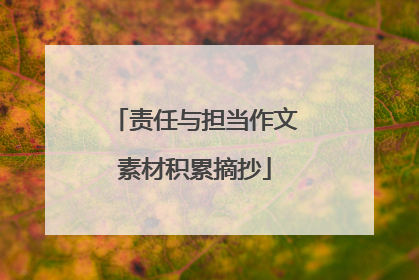 责任与担当作文素材积累摘抄