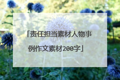 责任担当素材人物事例作文素材200字