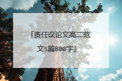 责任议论文高二范文5篇800字