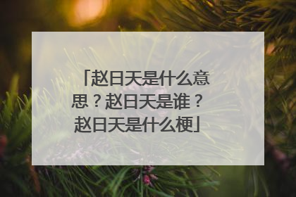 赵日天是什么意思?赵日天是谁?赵日天是什么梗