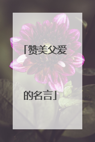 赞美父爱的名言