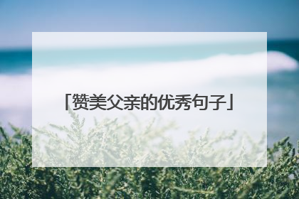 赞美父亲的优秀句子