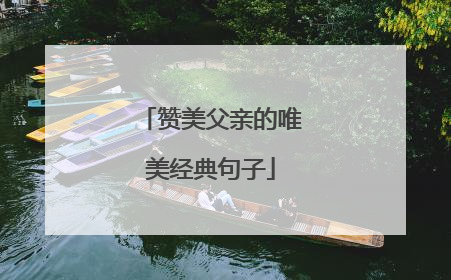 赞美父亲的唯美经典句子