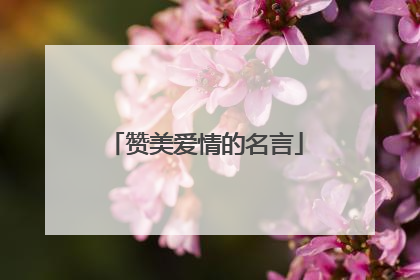 赞美爱情的名言