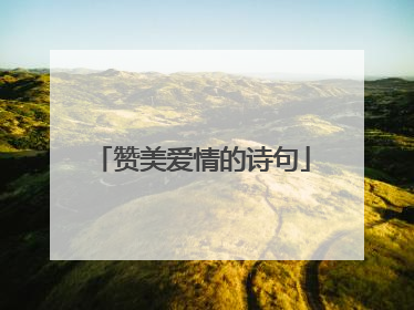 赞美爱情的诗句