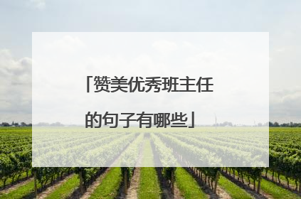 赞美优秀班主任的句子有哪些