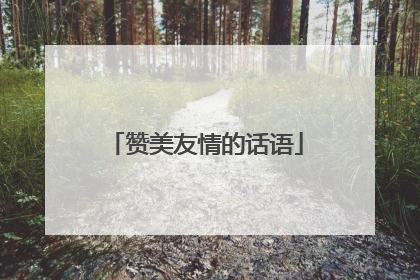 赞美友情的话语