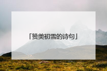 赞美初雪的诗句