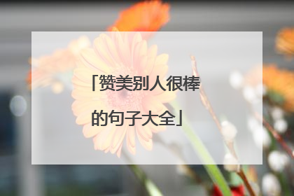 赞美别人很棒的句子大全