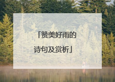 赞美好雨的诗句及赏析