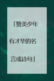 赞美少年有才华的名言或诗句
