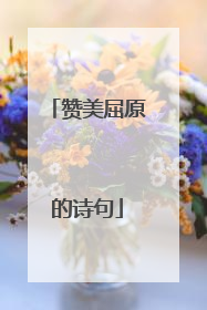 赞美屈原的诗句