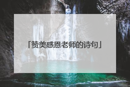 赞美感恩老师的诗句