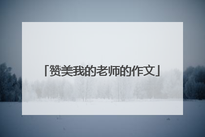赞美我的老师的作文