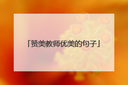 赞美教师优美的句子