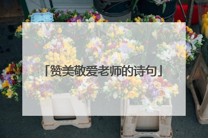 赞美敬爱老师的诗句