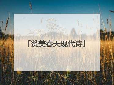 赞美春天现代诗