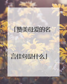 赞美母爱的名言佳句是什么