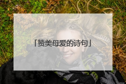 赞美母爱的诗句