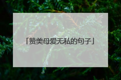 赞美母爱无私的句子
