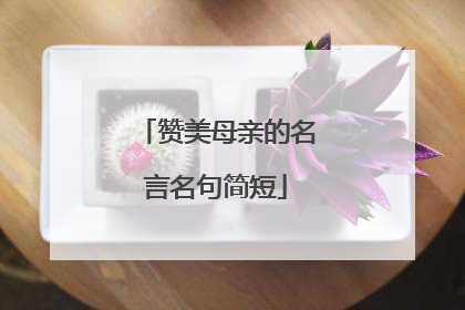 赞美母亲的名言名句简短