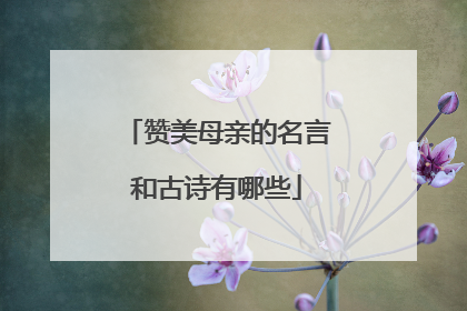 赞美母亲的名言和古诗有哪些
