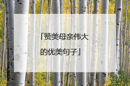 赞美母亲伟大的优美句子