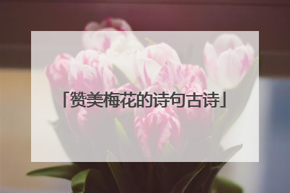 赞美梅花的诗句古诗