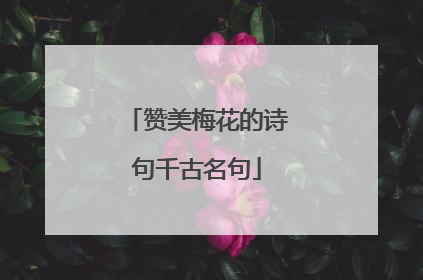 赞美梅花的诗句千古名句