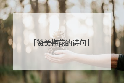 赞美梅花的诗句