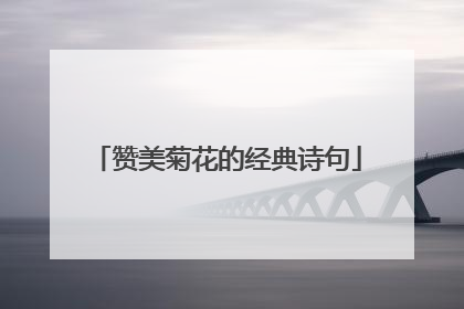 赞美菊花的经典诗句
