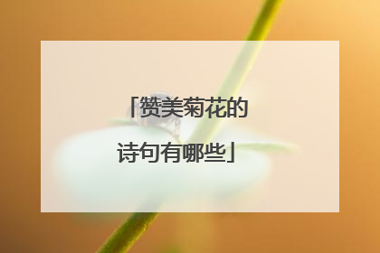 赞美菊花的诗句有哪些