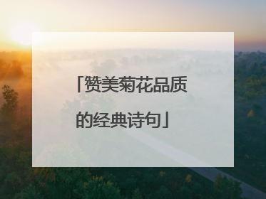 赞美菊花品质的经典诗句