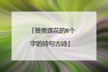 赞美莲花的8个字的诗句古诗