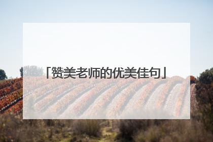 赞美老师的优美佳句
