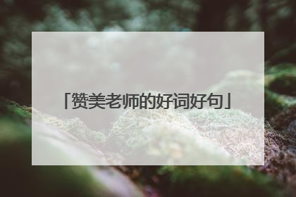 赞美老师的好词好句