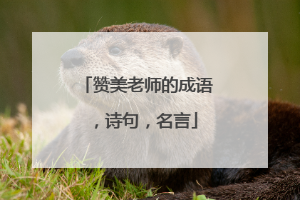 赞美老师的成语，诗句，名言